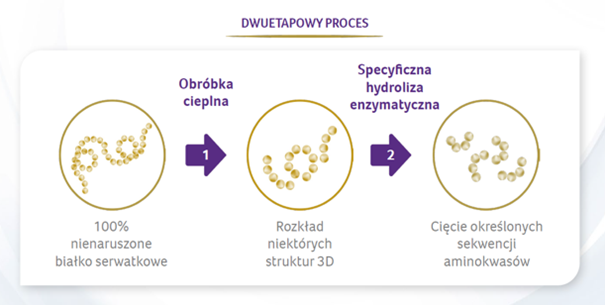 Dwuetapowy proces